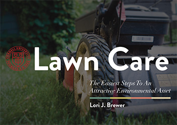 Lawn Care cover